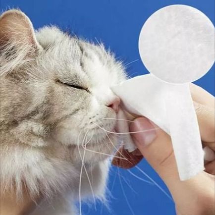 Pet Wipe Cloth ： Gadgets til pleje af kæledyrshygiejne